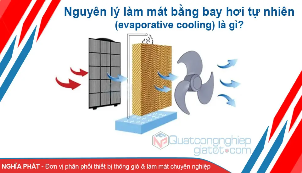 Nguyên Lý Làm Mát Bằng Bay Hơi Tự Nhiên Là Gì?